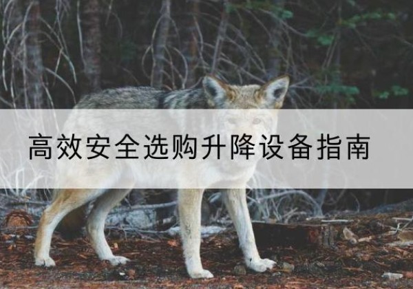 达川升降货梯厂家推荐-*安全选购升降设备指南