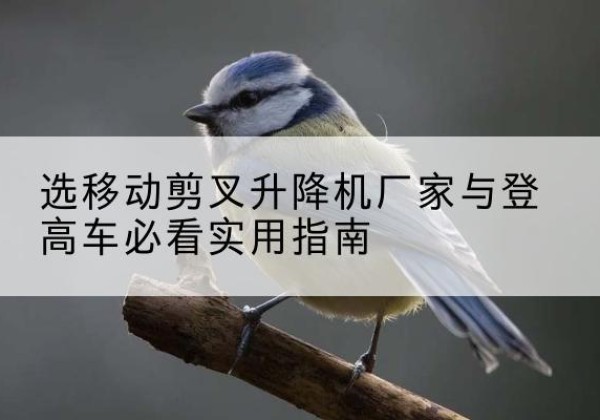 达川电动升降机厂家-选移动剪叉升降机厂家与登高车必看实用指南
